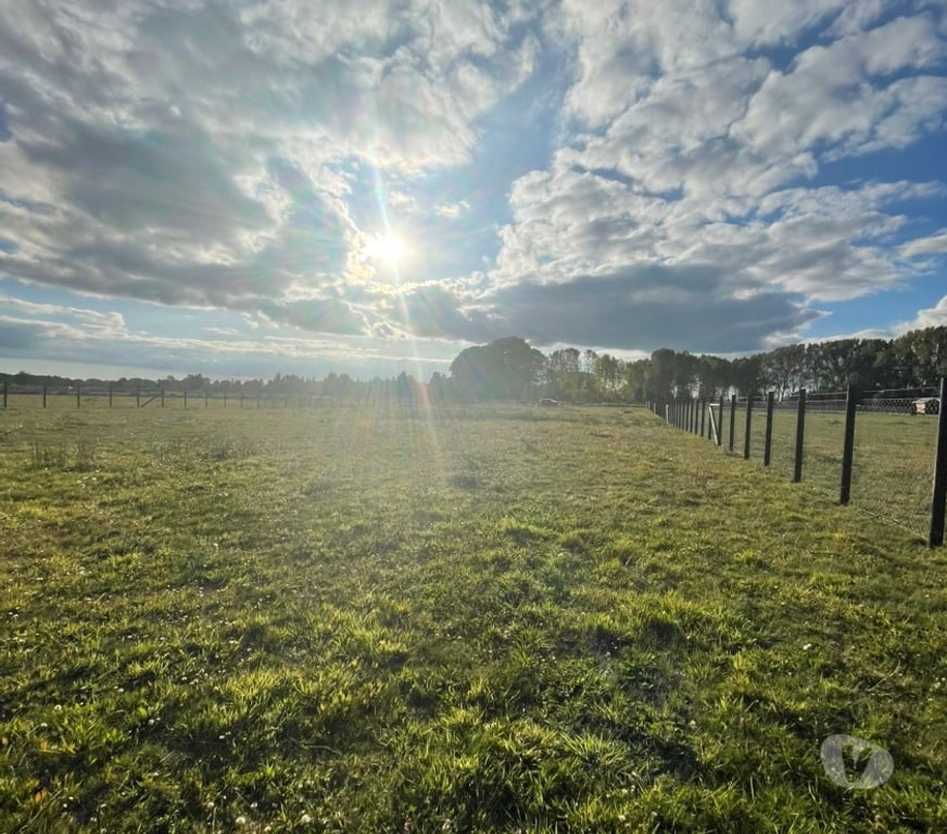 Parcelas en Venta Cautín Freire - Fotos de Vendo Parcela de Agrado en Araucanía Sur