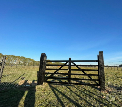 Parcelas en venta Freire Cautín - Fotos de Vendo Parcela de Agrado en Araucanía Sur