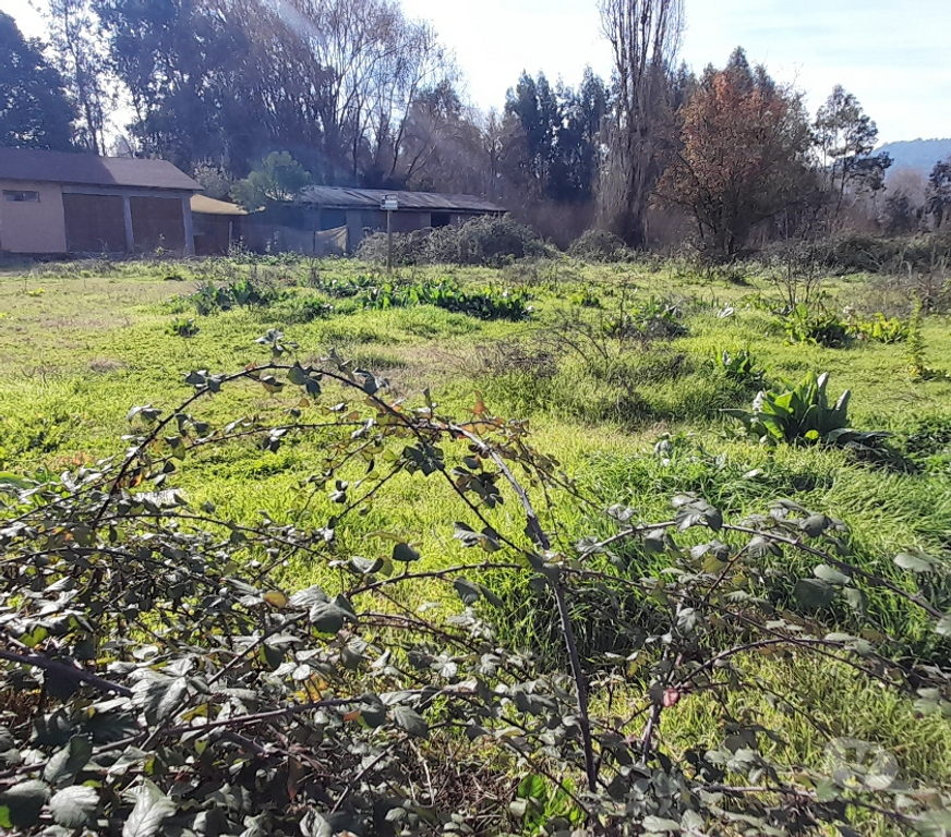Parcelas en Venta Colchagua Santa Cruz - Fotos de Vendo Terreno 2.500m2 con Rol ubicado en Isla de Yaquil