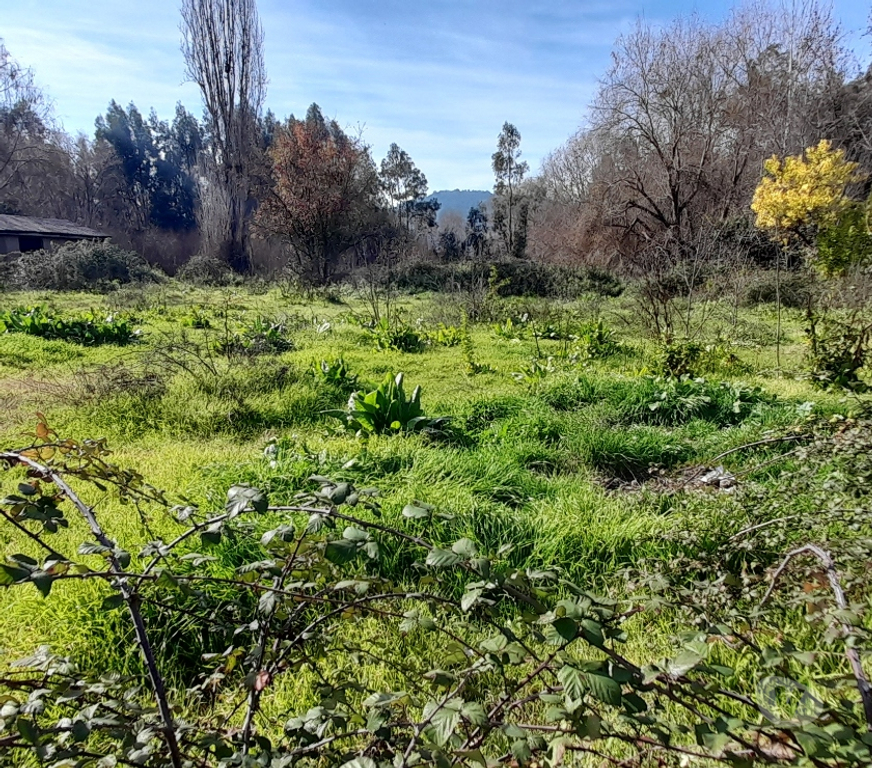 Parcelas en Venta Colchagua Santa Cruz - Fotos de Vendo Terreno 2.500m2 con Rol ubicado en Isla de Yaquil