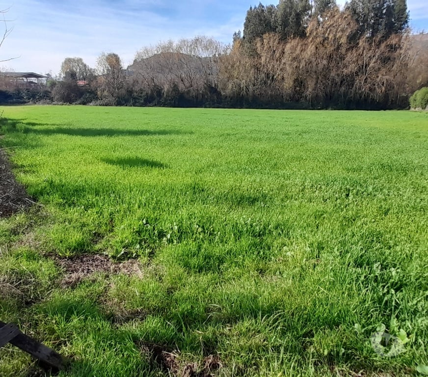 Parcelas en Venta Colchagua Santa Cruz - Fotos de Vendo Parcela 5.000m2 ubicada en La Finca de Yaquil