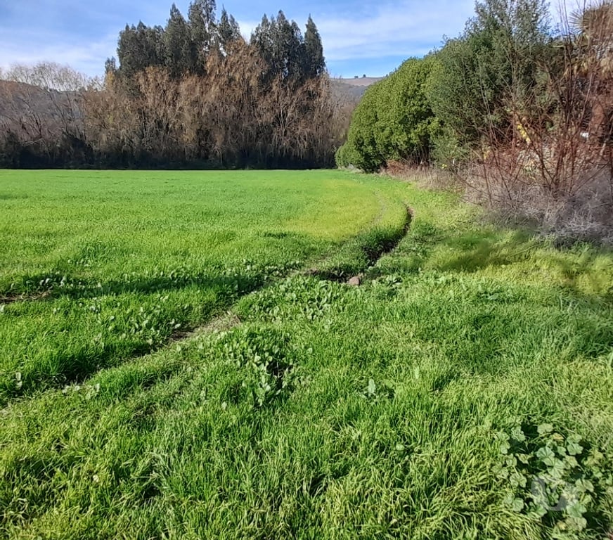 Parcelas en Venta Colchagua Santa Cruz - Fotos de Vendo Parcela 5.000m2 ubicada en La Finca de Yaquil