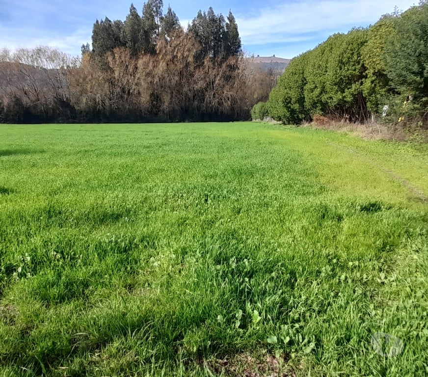 Parcelas en Venta Colchagua Santa Cruz - Fotos de Vendo Parcela 5.000m2 ubicada en La Finca de Yaquil