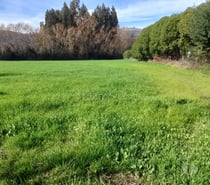 Vendo Parcela 5.000m2 ubicada en La Finca de Yaquil