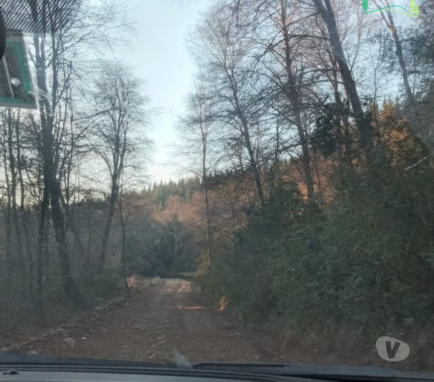 Parcelas en Venta Ñuble Ñiquén - Fotos de Hermosa parcela en Zemita, Ñiquén, Región de Ñuble