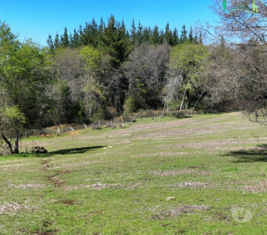 Parcelas en Venta Ñuble Ñiquén - Fotos de Hermosa parcela en Zemita, Ñiquén, Región de Ñuble