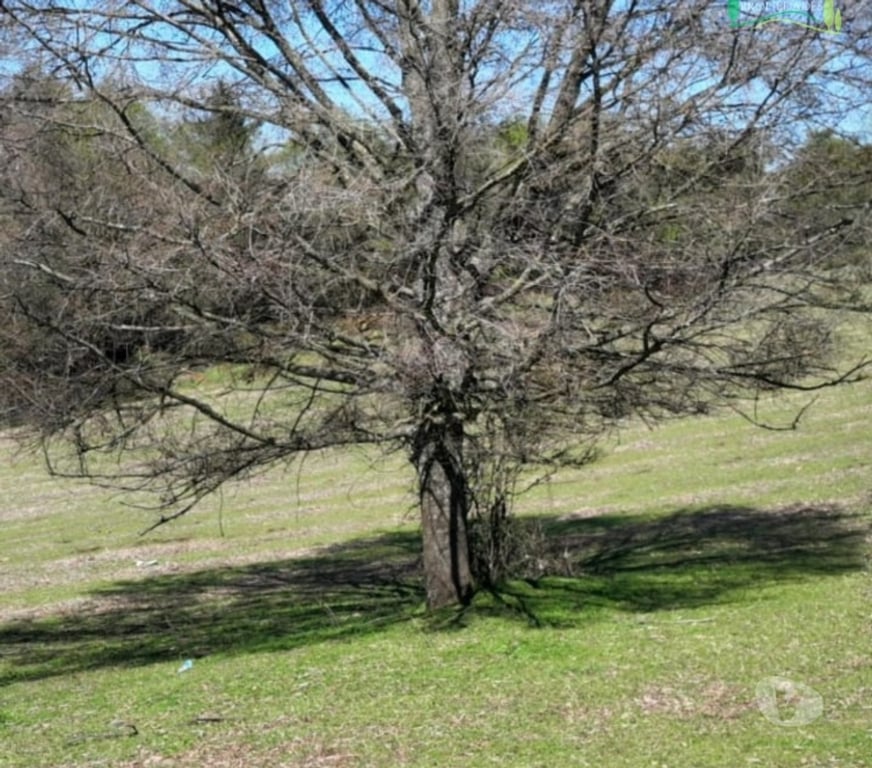 Parcelas en Venta Ñuble Ñiquén - Fotos de Hermosa parcela en Zemita, Ñiquén, Región de Ñuble