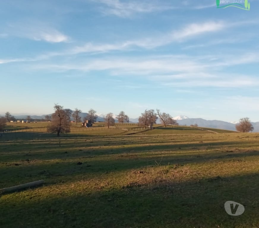 Parcelas en Venta Ñuble Ñiquén - Fotos de Hermosa parcela en Zemita, Ñiquén, Región de Ñuble