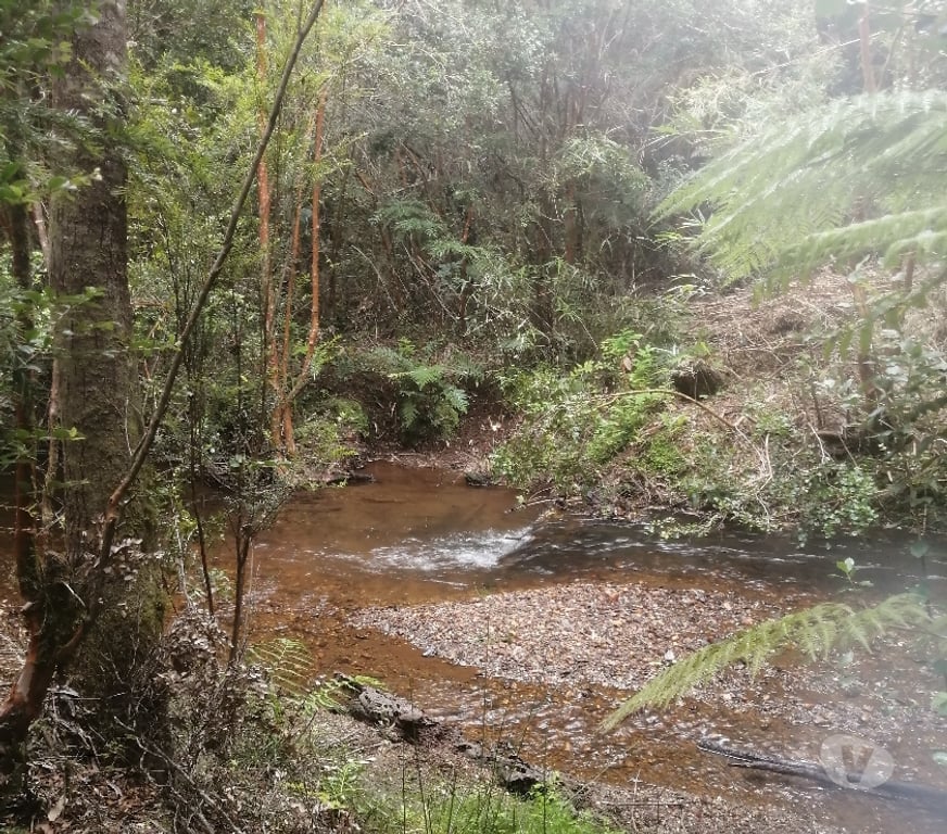 Parcelas en Venta Valdivia Valdivia - Fotos de Venta de Casa con parcela 5000 mt2