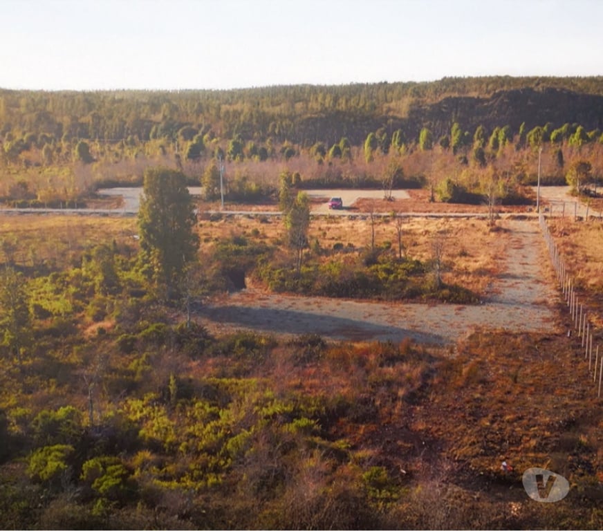 Parcelas en Venta Llanquihue Puerto Montt - Fotos de Parcela de 5000 m2 con Luz + Agua en Parque Austral, Calbuco