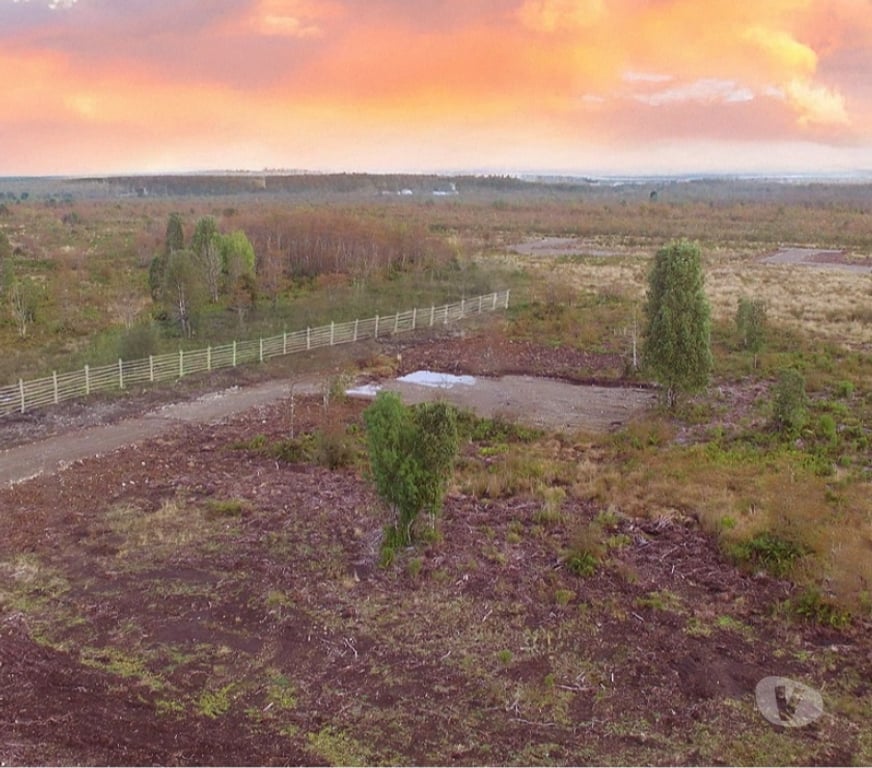 Parcelas en Venta Llanquihue Puerto Montt - Fotos de Parcela de 5000 m2 con Luz + Agua en Parque Austral, Calbuco