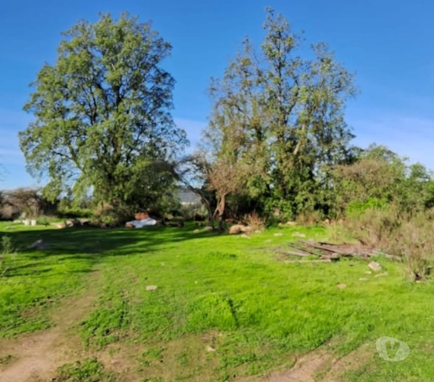 Parcelas en Venta Melipilla Melipilla - Fotos de Parcela con casa 7 Hectareas San Pedro Melipilla