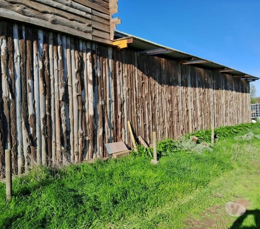 Parcelas en Venta Melipilla Melipilla - Fotos de Parcela con casa 7 Hectareas San Pedro Melipilla