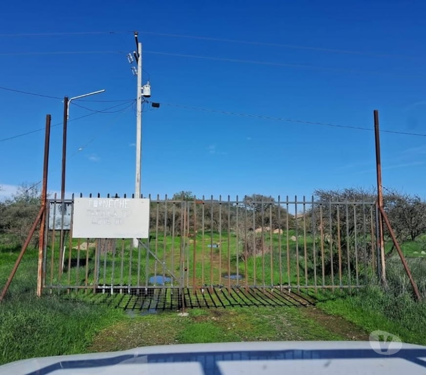 Parcelas en Venta Melipilla Melipilla - Fotos de Parcela con casa 7 Hectareas San Pedro Melipilla