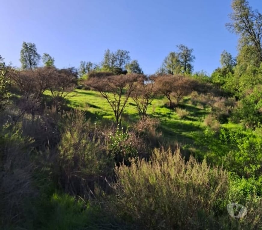 Parcelas en Venta Melipilla Melipilla - Fotos de Parcela con casa 7 Hectareas San Pedro Melipilla