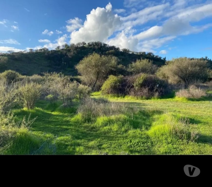 Parcelas en Venta Melipilla Melipilla - Fotos de Vendo terreno 4 hectáreas