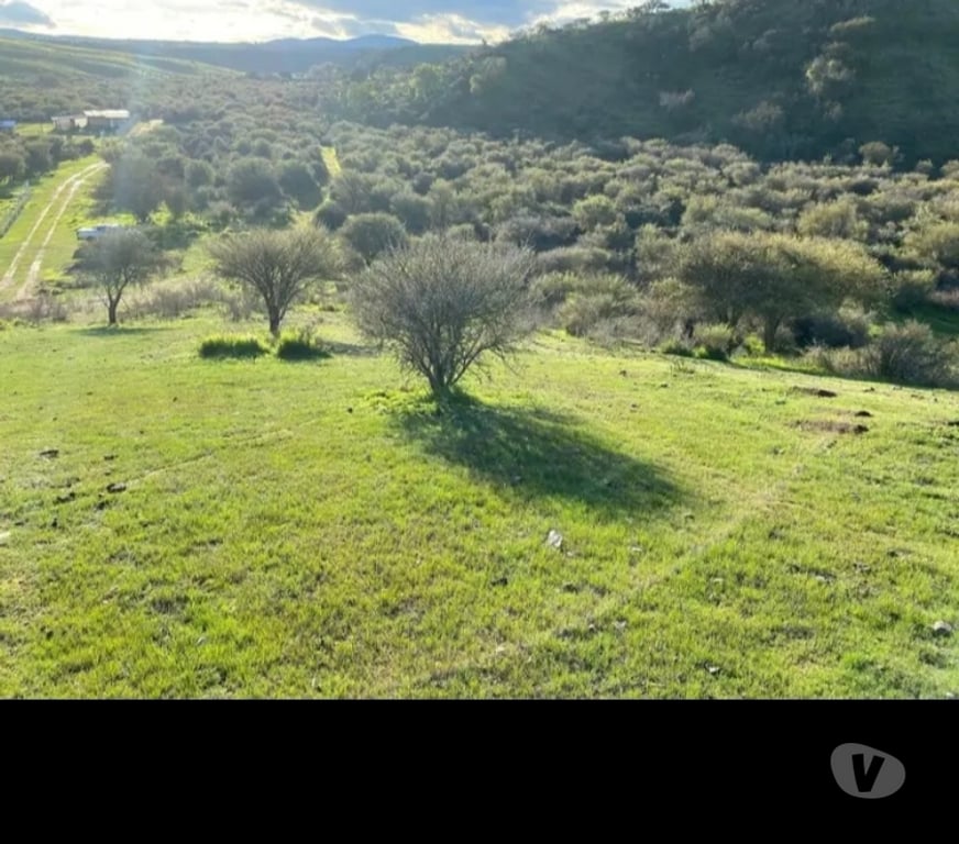 Parcelas en Venta Melipilla Melipilla - Fotos de Vendo terreno 4 hectáreas