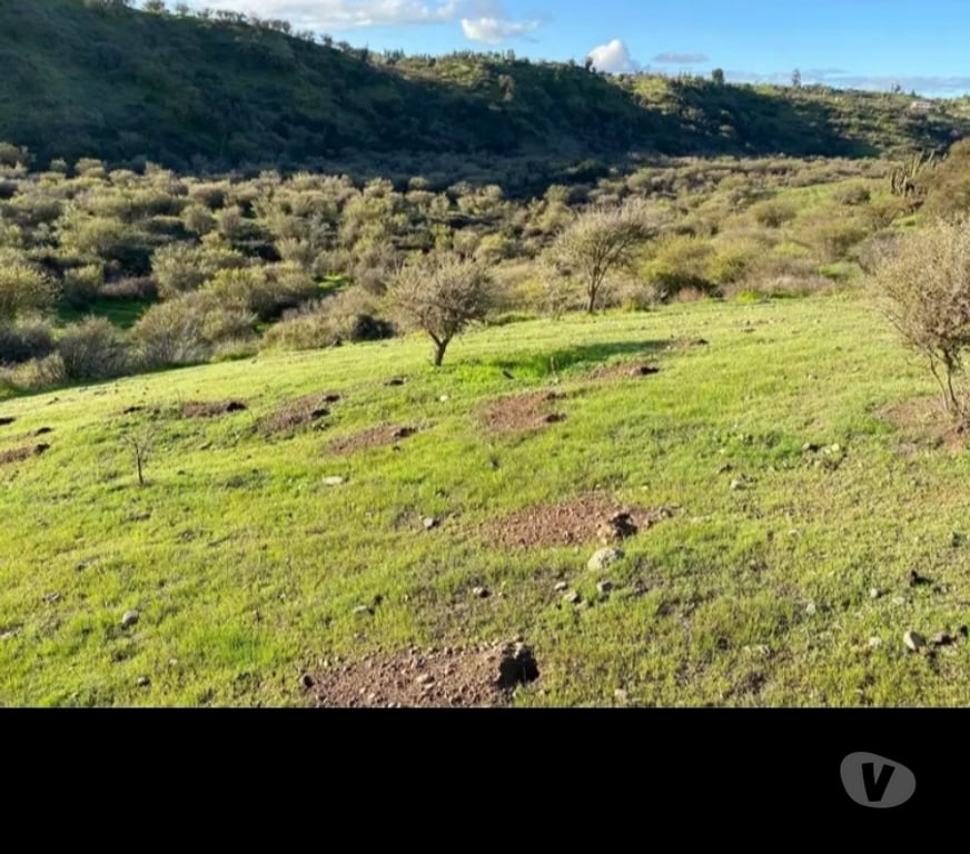 Parcelas en Venta Melipilla Melipilla - Fotos de Vendo terreno 4 hectáreas