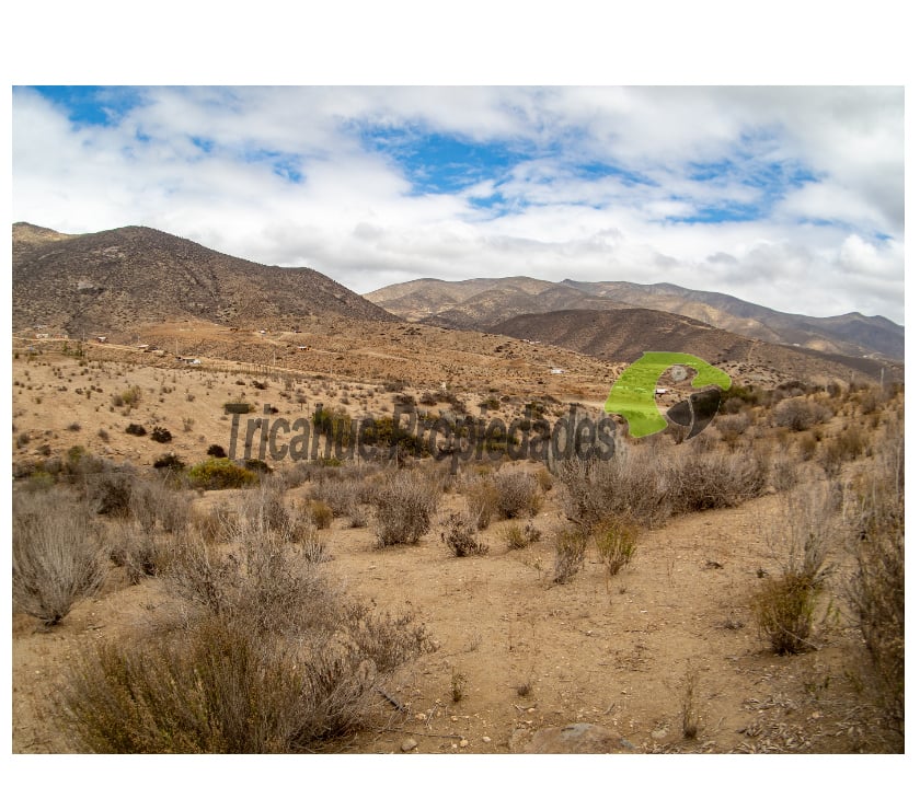 Parcela de 5000 m2. La Estrella de El Rosario, La Serena