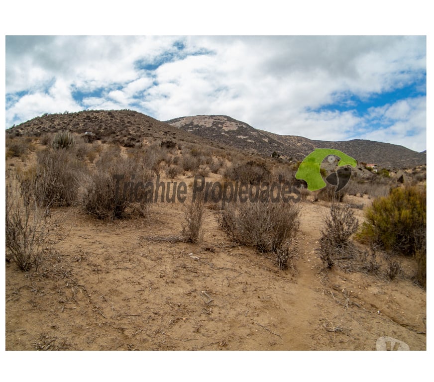Parcelas en Venta Elqui La Serena - Fotos de Parcela de 5000 m2. La Estrella de El Rosario, La Serena
