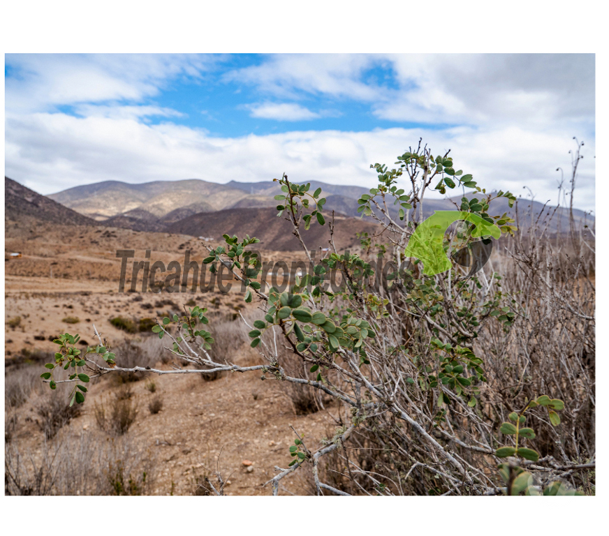 Parcelas en Venta Elqui La Serena - Fotos de Parcela de 5000 m2. La Estrella de El Rosario, La Serena