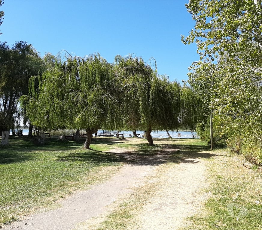 Bienes Raices Ñuble Quillón - Fotos de Quillón vendo cabaña con acceso a la laguna.$63.000.000