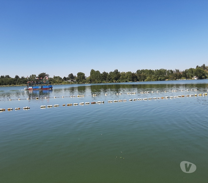 Bienes Raices Quillón Ñuble - Fotos de Quillón vendo cabaña con acceso a la laguna.$63.000.000