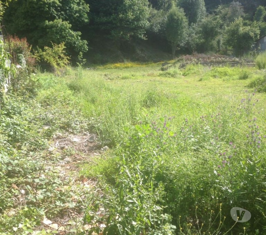 Bienes Raices Concepción Chiguayante - Fotos de Chiguayante vendo bonito sitio de 3.461 mil metros