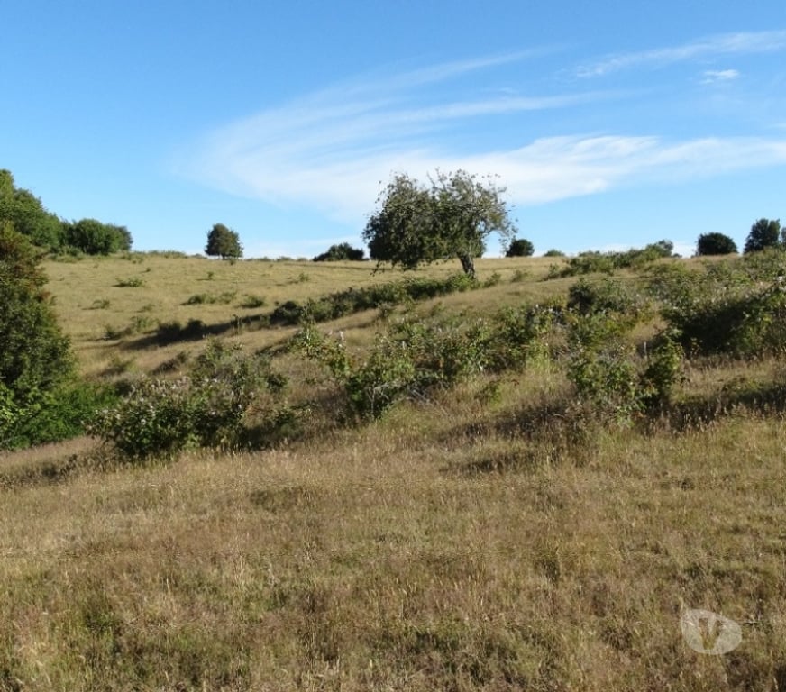Parcelas en Venta Llanquihue Fresia - Fotos de VENTA DE 36 HECTÁREAS EN FRESIA.