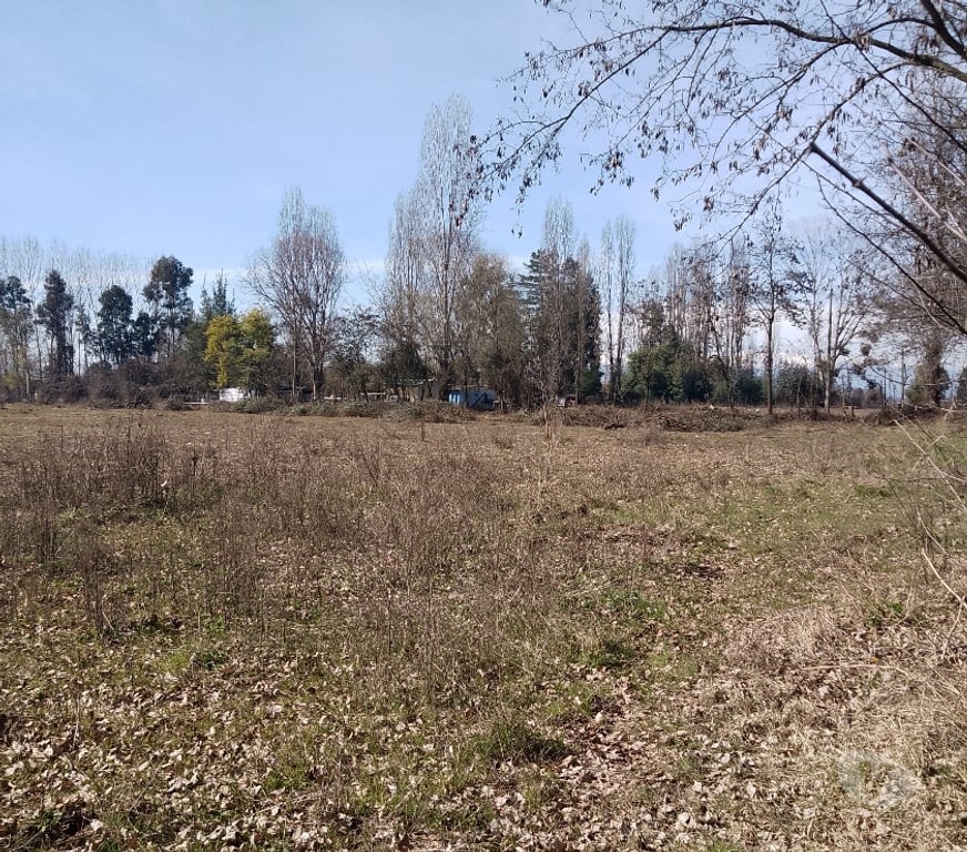 Parcelas en Venta Linares Longav - Fotos de se vende parcela