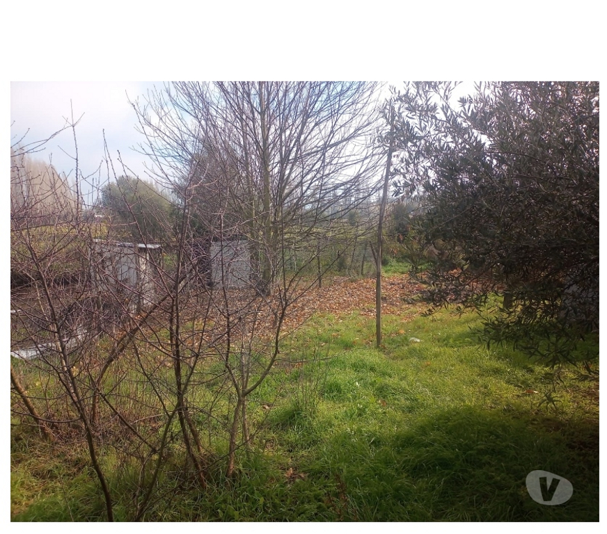 Parcelas en Venta Ñuble Chillán - Fotos de OPORTUNIDAD UNICA PARCELA CERCANA A CHILLÁN ARTING Ltda.