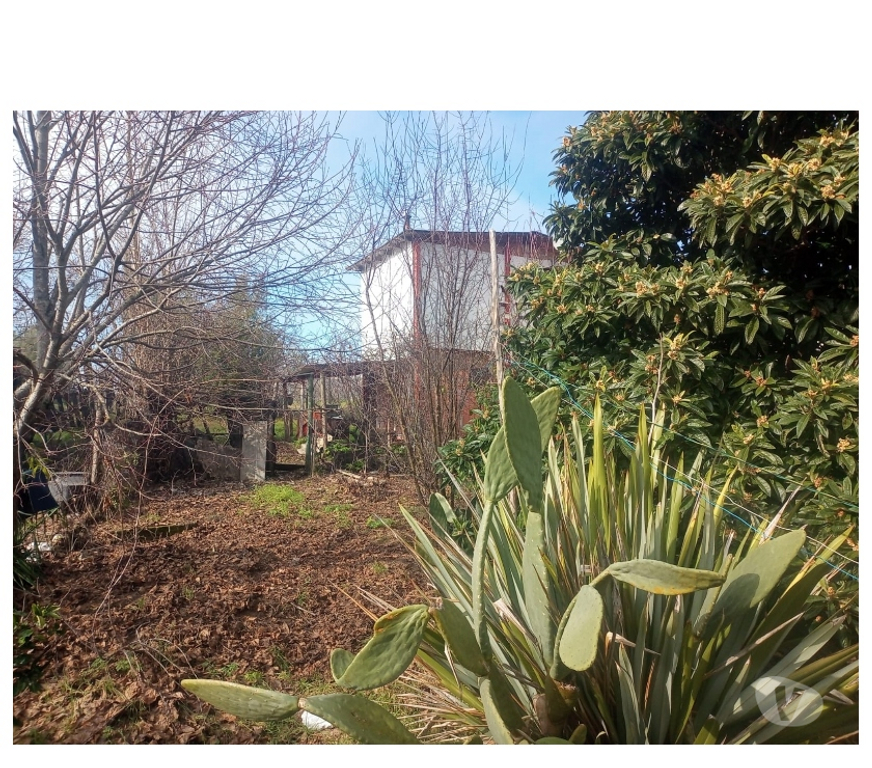 Parcelas en Venta Ñuble Chillán - Fotos de OPORTUNIDAD UNICA PARCELA CERCANA A CHILLÁN ARTING Ltda.