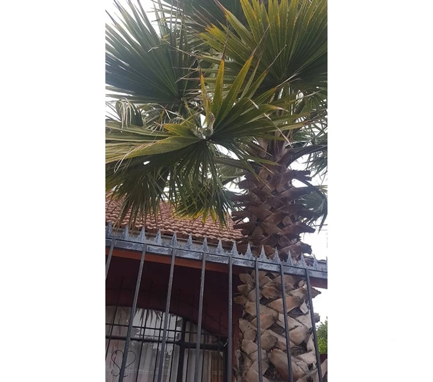Bienes Raices Concepción Hualpén - Fotos de Casa Puerto Dominguez Hualpen