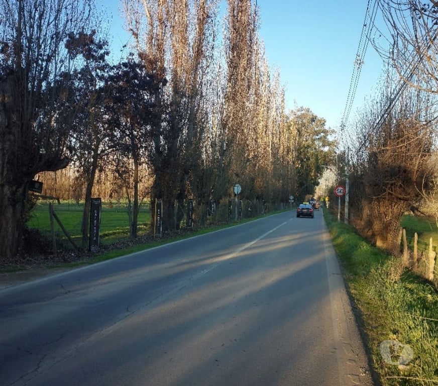 Parcelas en Venta Maipo Paine - Fotos de Lote de 5.085 m2, Aculeo-Paine, Condominio El Castaño.