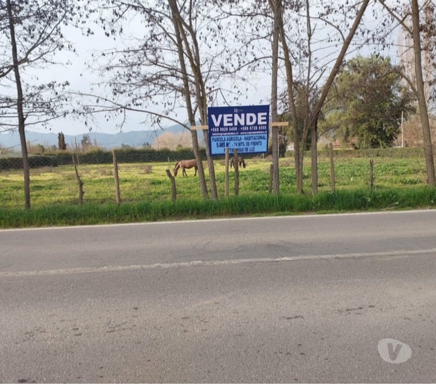 Parcelas en Venta Maipo Paine - Fotos de Lote de 5.085 m2, Aculeo-Paine, Condominio El Castaño.