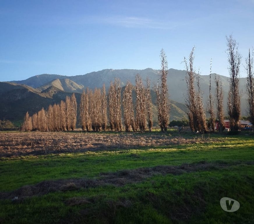 Parcelas en Venta Maipo Paine - Fotos de Lote de 5.085 m2, Aculeo-Paine, Condominio El Castaño.