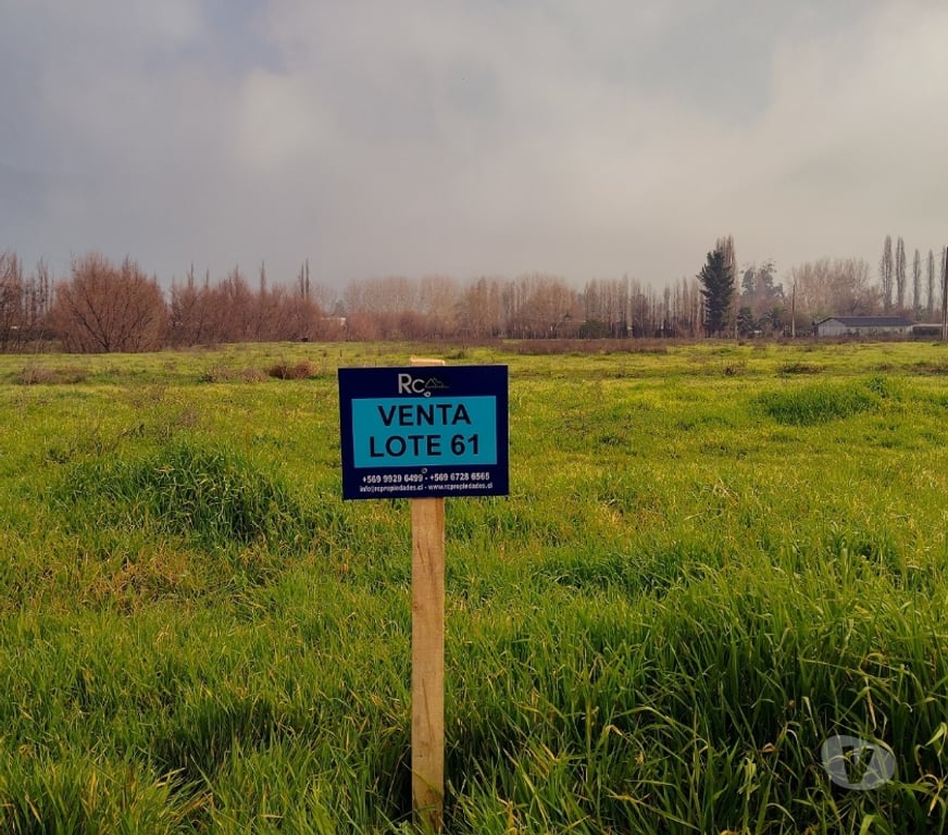 Parcelas en Venta Maipo Paine - Fotos de Aculeo-Paine, Lote 61