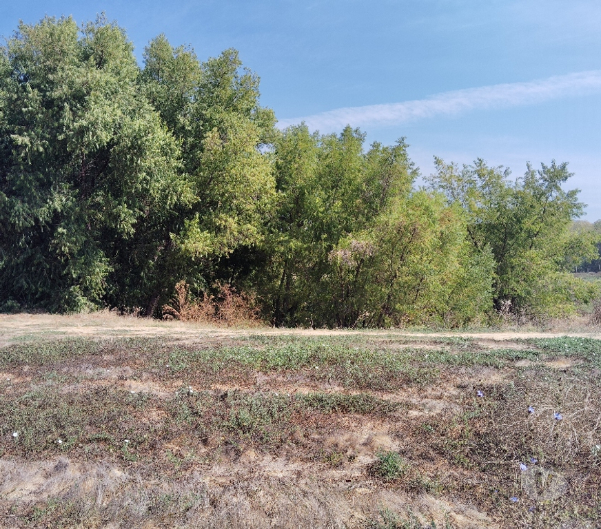 Parcelas en Venta Maipo Paine - Fotos de Aculeo-Paine, Lote 61