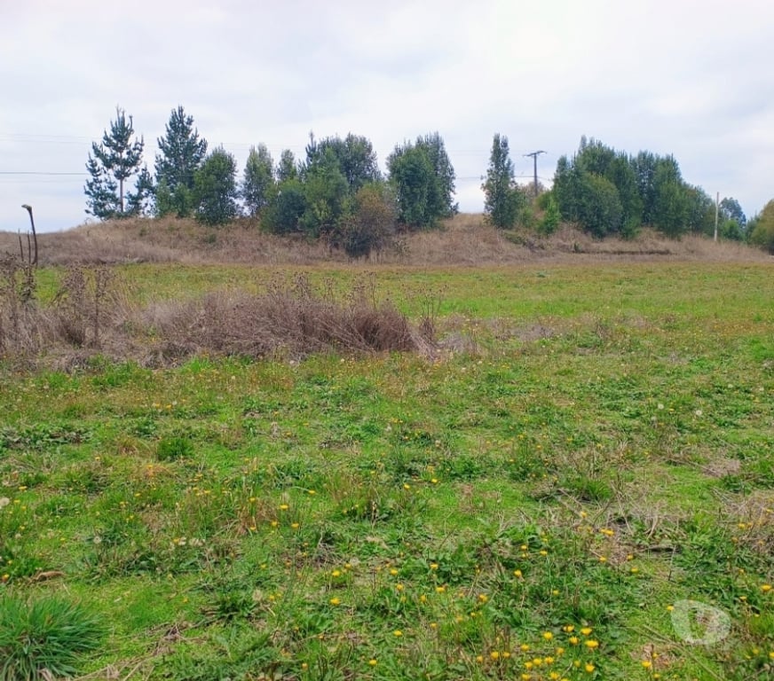 Parcelas en Venta Cautín Villarrica - Fotos de Hermosas parcelas con buena ubicación