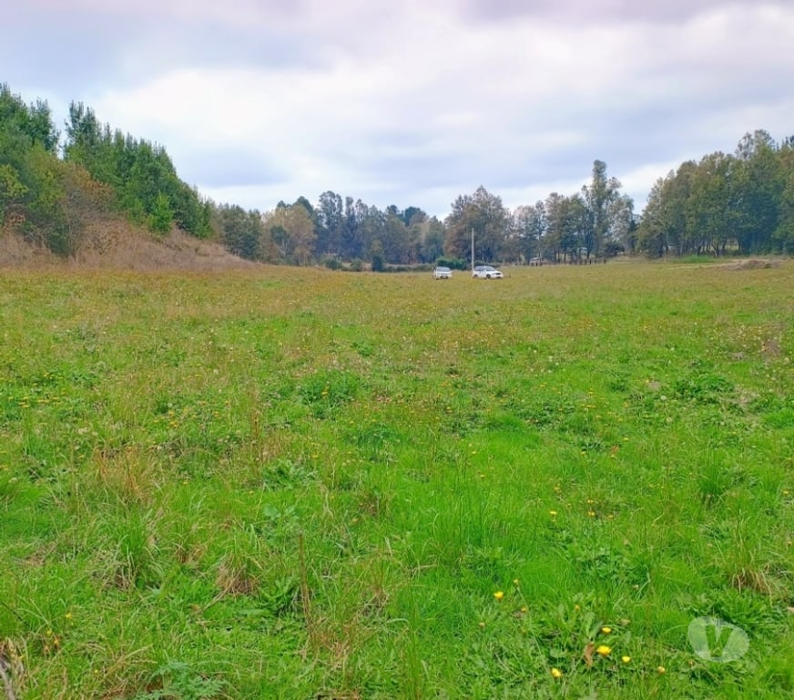 Parcelas en Venta Cautín Villarrica - Fotos de Hermosas parcelas con buena ubicación