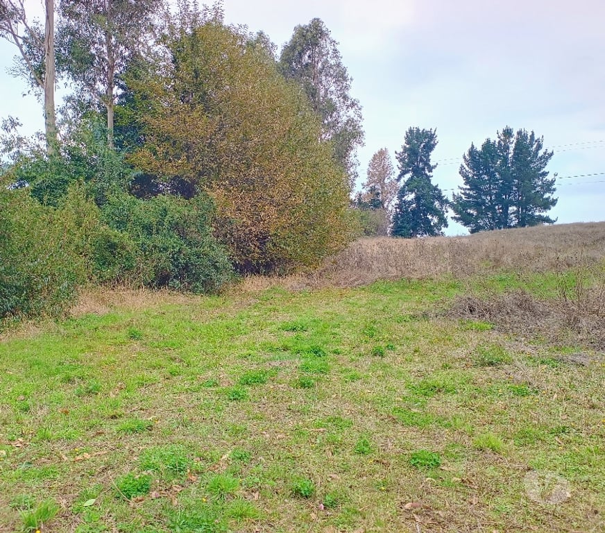Parcelas en Venta Cautín Villarrica - Fotos de Hermosas parcelas con buena ubicación