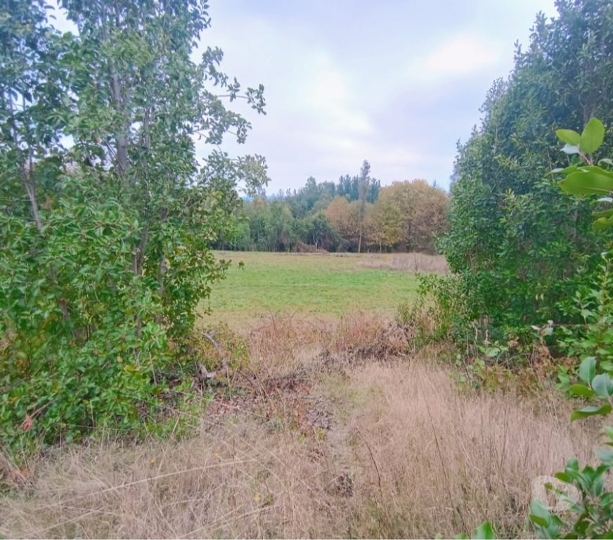 Parcelas en Venta Cautín Villarrica - Fotos de Hermosas parcelas con buena ubicación