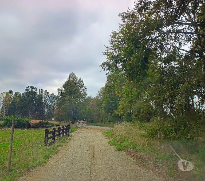 Parcelas en Venta Cautín Villarrica - Fotos de Hermosas parcelas con buena ubicación