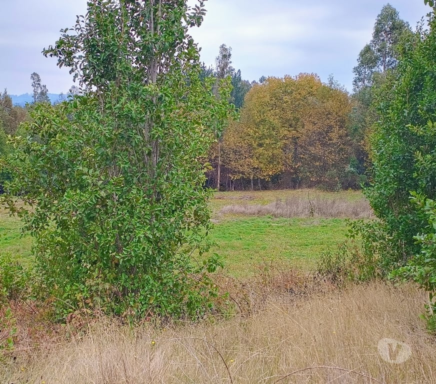Parcelas en Venta Cautín Villarrica - Fotos de Hermosas parcelas con buena ubicación