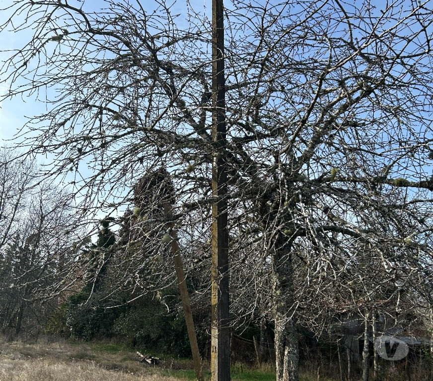 Venta de Haciendas Cautín Loncoche - Fotos de 4 hectáreas, agua y luz casa antigua a 15 minutos de ciudad
