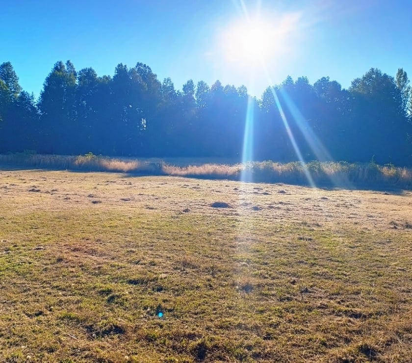 Terrenos en Venta Villarrica Cautín - Fotos de Hermosa parcela a 18 kilómetros del centro de Villarrica
