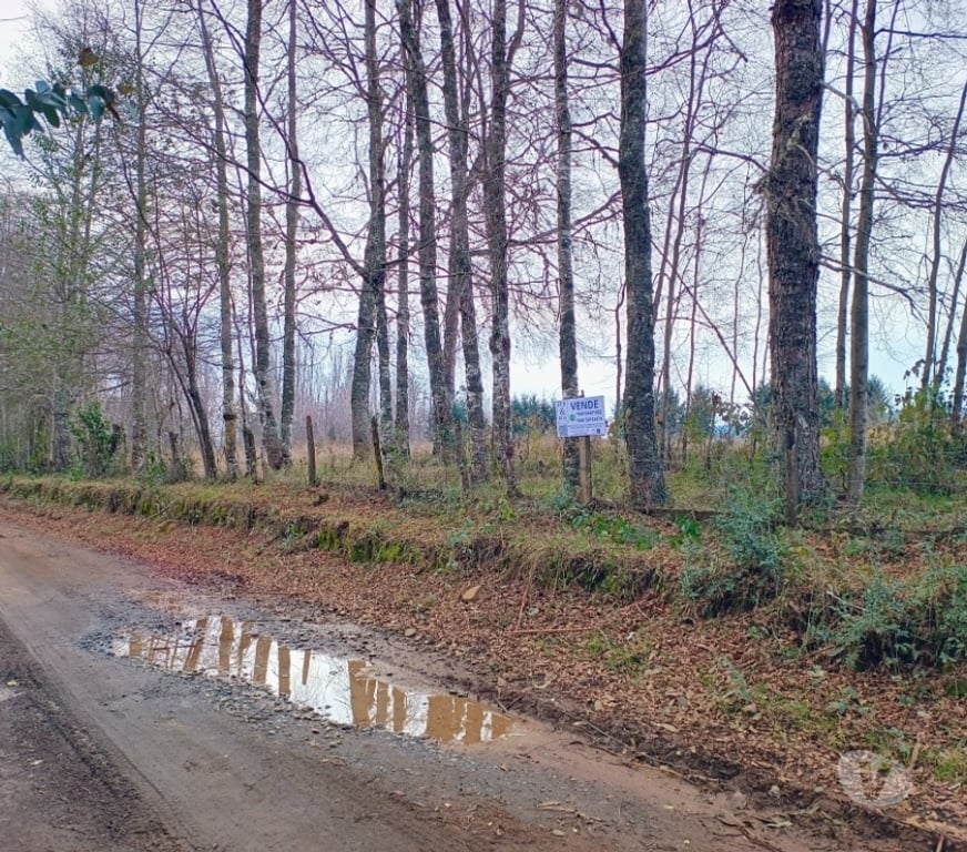 Parcelas en Venta Cautín Villarrica - Fotos de Hermosa parcela a 18 kilómetros del centro de Villarrica