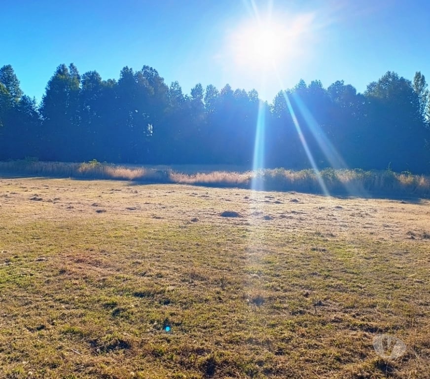 Parcelas en Venta Cautín Villarrica - Fotos de Hermosa parcela a 18 kilómetros del centro de Villarrica
