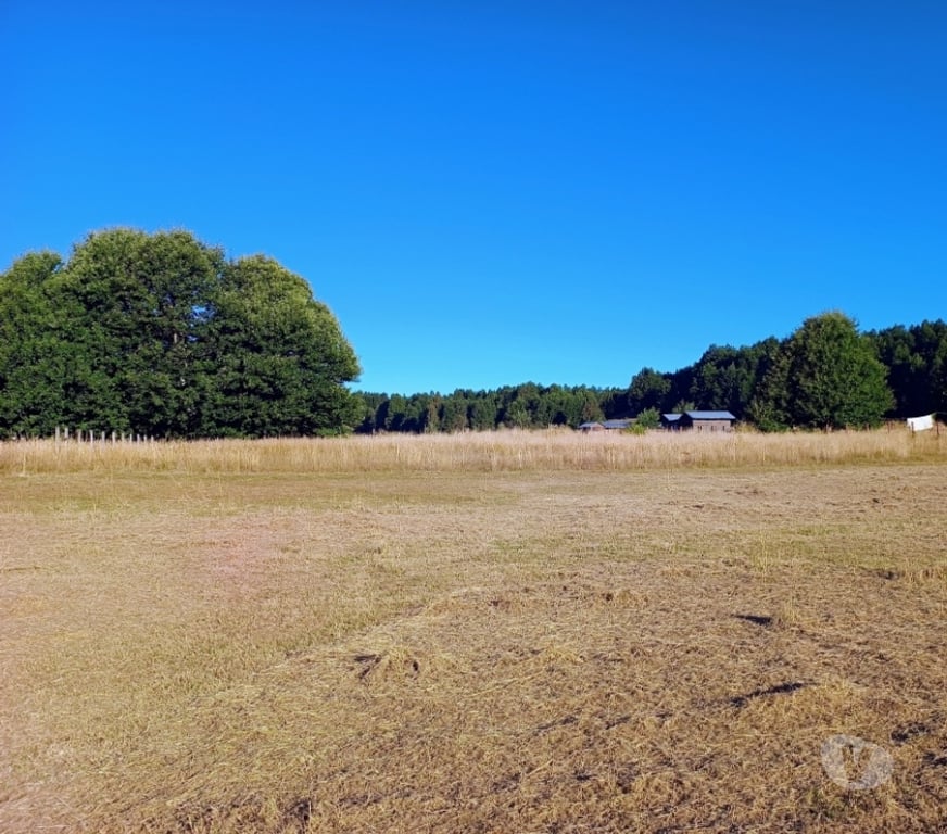 Parcelas en Venta Cautín Villarrica - Fotos de Hermosa parcela a 18 kilómetros del centro de Villarrica