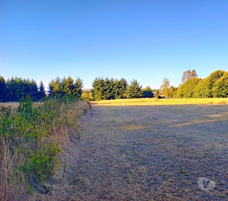 Parcelas en Venta Cautín Villarrica - Fotos de Hermosa parcela a 18 kilómetros del centro de Villarrica